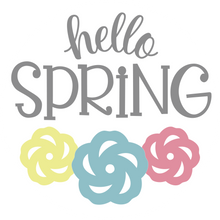 Load image into Gallery viewer, Hello Spring Flower Trio Door Hanger